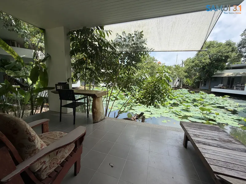 One-bedroom studio house