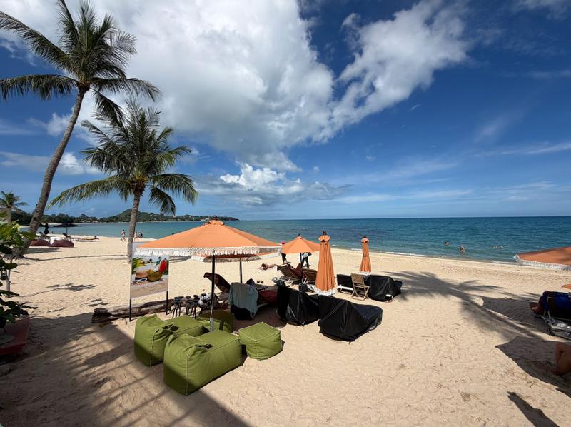 Zephyr Beach Club — новое место на Ламае, куда хочется вернуться — фото 3