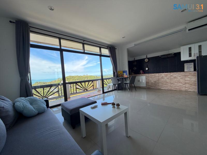 One-bedroom apartments with panoramic views