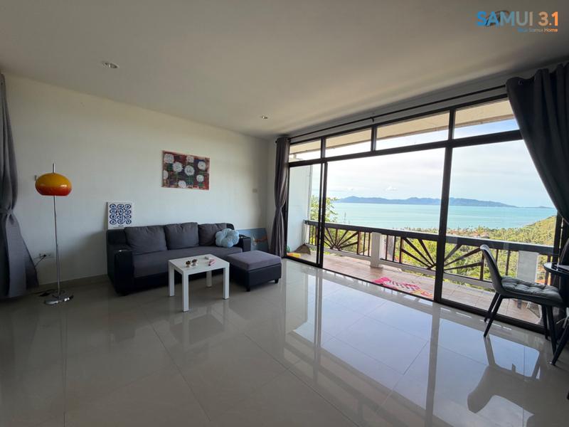 One-bedroom apartments with panoramic views